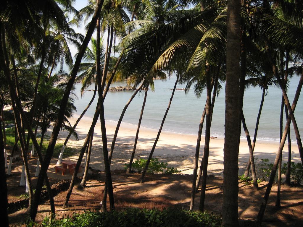 Hôtel Chera Rocks Beach House à Thottada Chambre photo